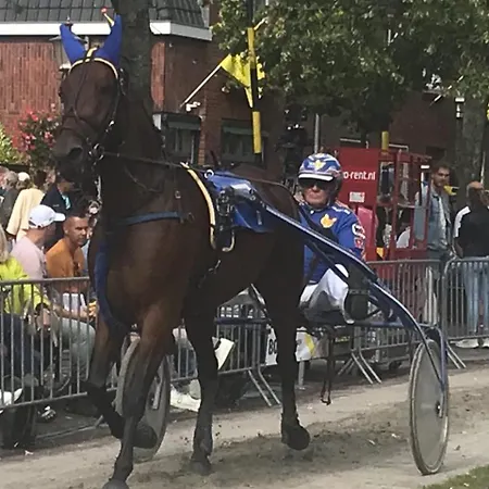 Bed En Breakfast Medemblik Couette-café