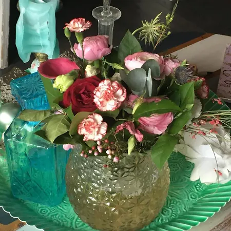 Couette-café Bed En Breakfast Medemblik 4*