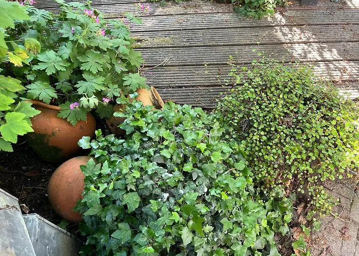 Bed En Breakfast Medemblik