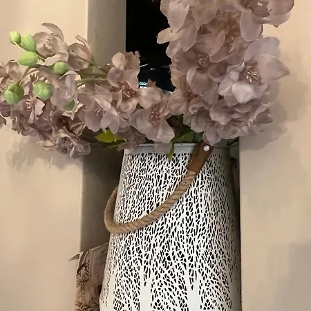 Bed En Breakfast Medemblik 4*