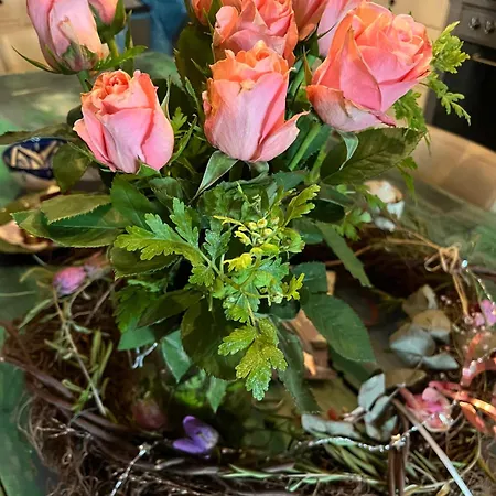 Bed En Breakfast Medemblik 4* Medemblik