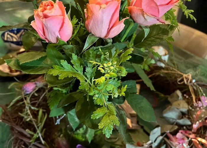 Bed En Breakfast Medemblik 4* Медемблик